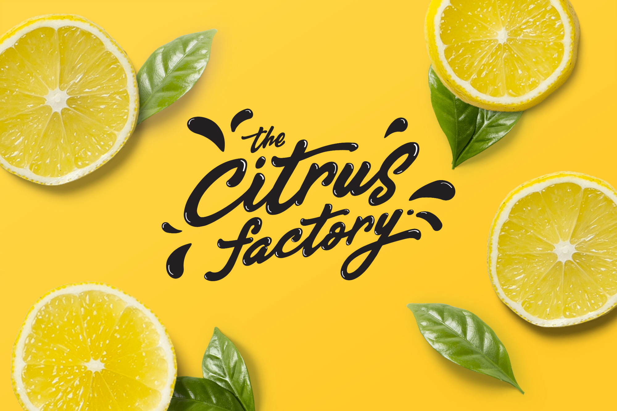 The Citrus Factory